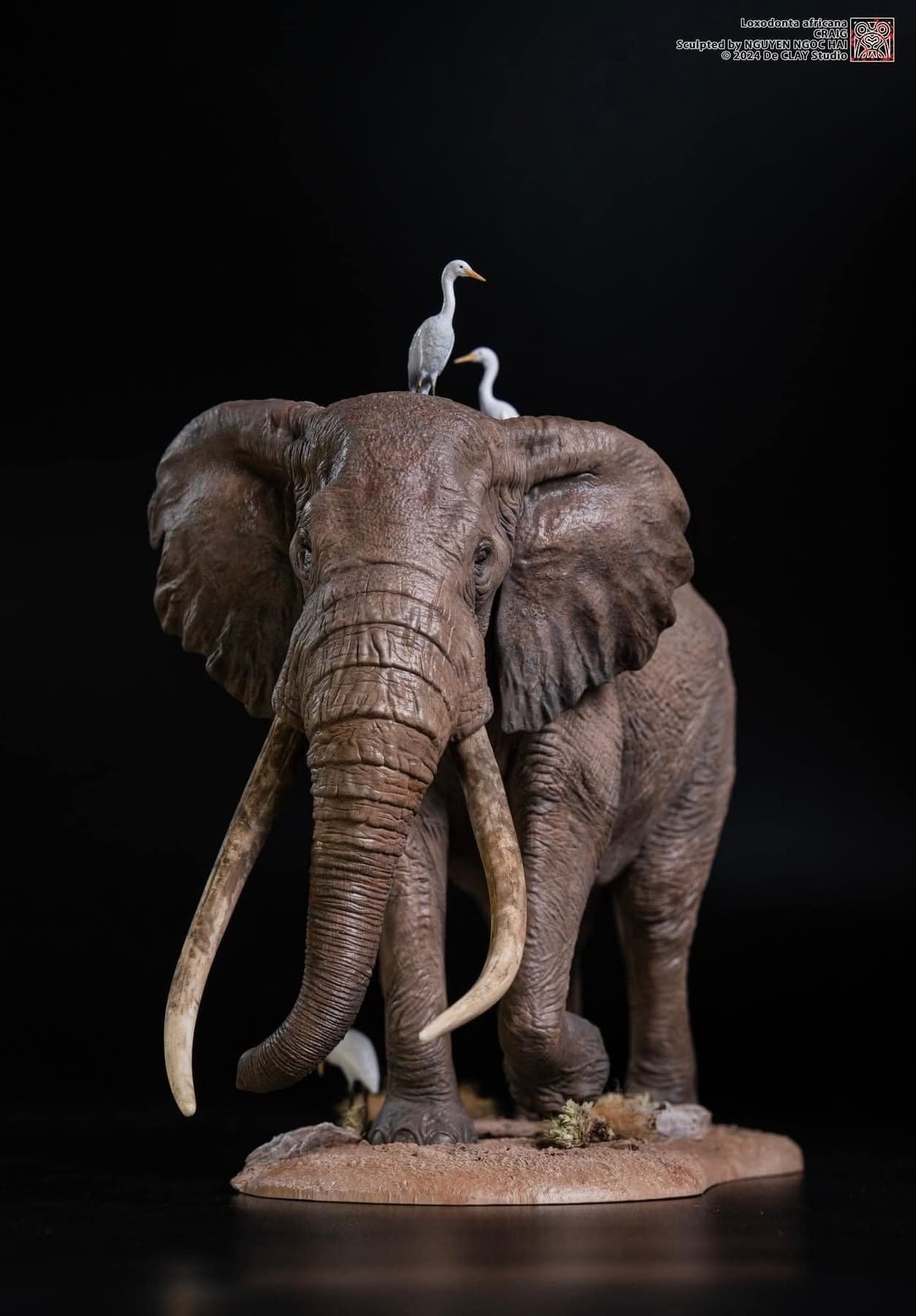  Mô hình động vật voi đồng cỏ Châu Phi chính hãng Declay studio. 