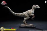  Mô hình Velociraptor bản quyền jurassic park 3 wdragon studio 