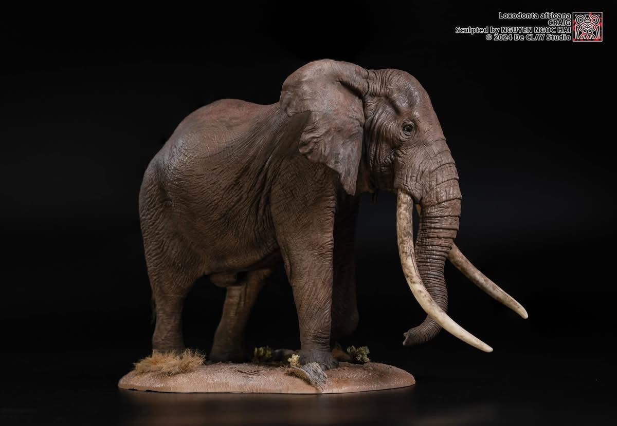  Mô hình động vật voi đồng cỏ Châu Phi chính hãng Declay studio. 
