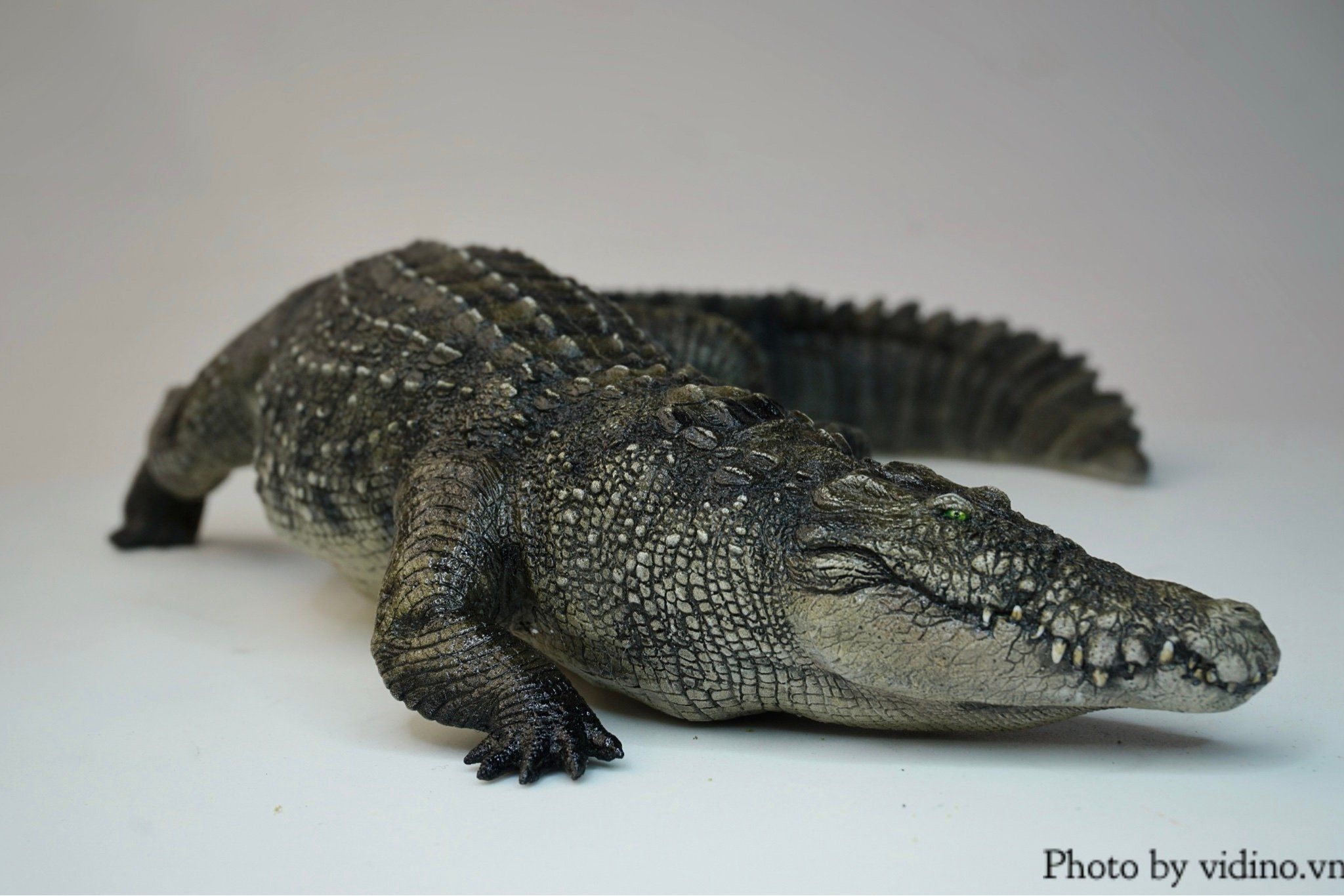  Mô hình động vật Cá sấu sông nile the Crocs Man tỷ lệ 1/12. 