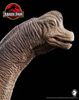  Mô hình Khủng long Brachiosaurus Wdragon studio 1:35. 