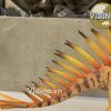 Mô hình Miragaia pnso studio chính hãng tỷ lệ 1:35