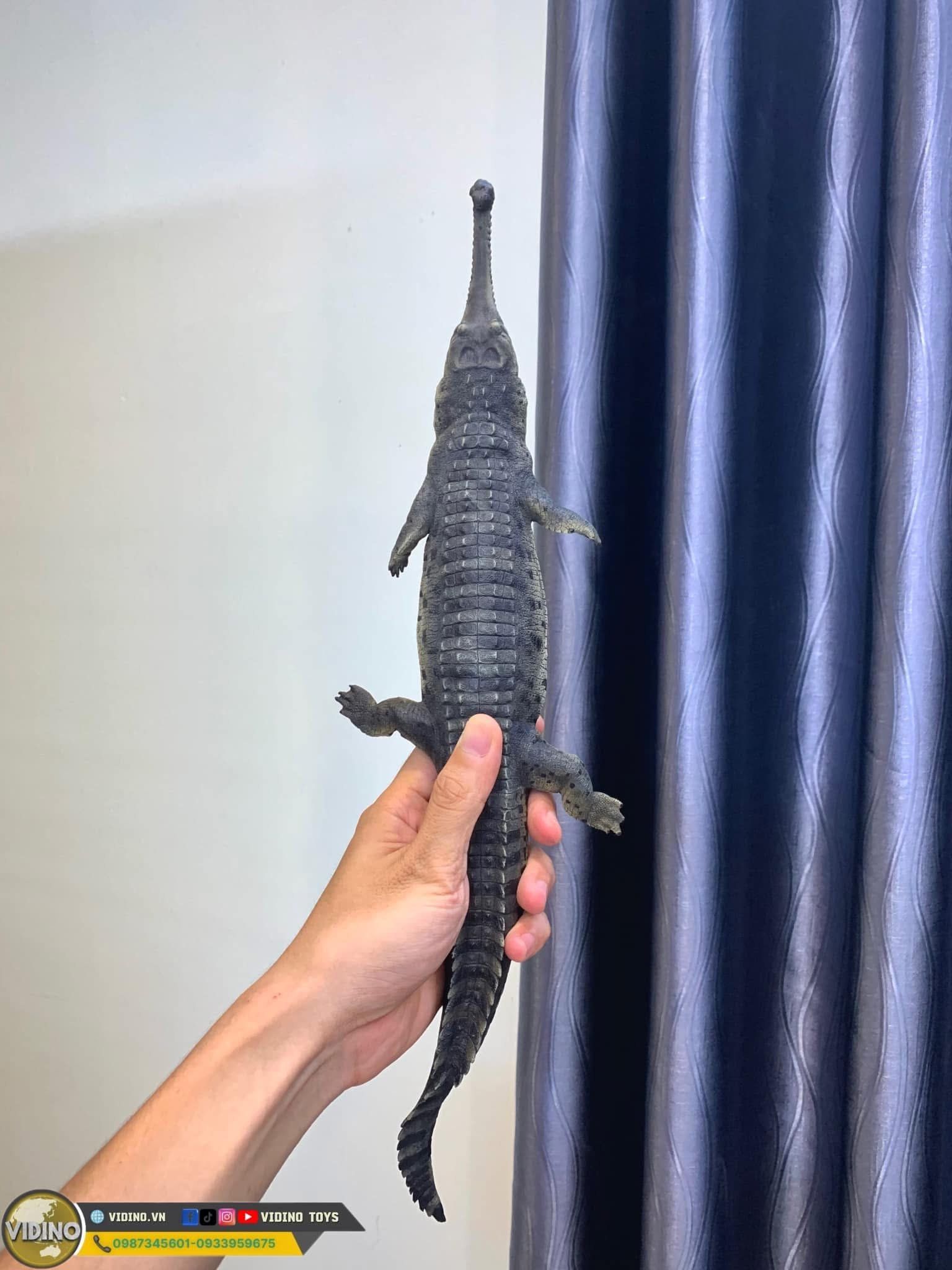  Mô hình động vật cá sấu ấn độ Gharial india hãng Crocs Man Studio tỷ lệ 1/12. 