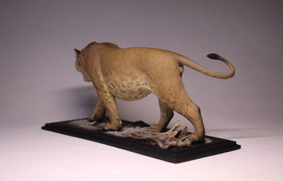  Mô hình động vật tiền sử sư tử mỹ- Panthera atrox De clay studio. 