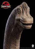  Mô hình Khủng long Brachiosaurus Wdragon studio 1:35. 