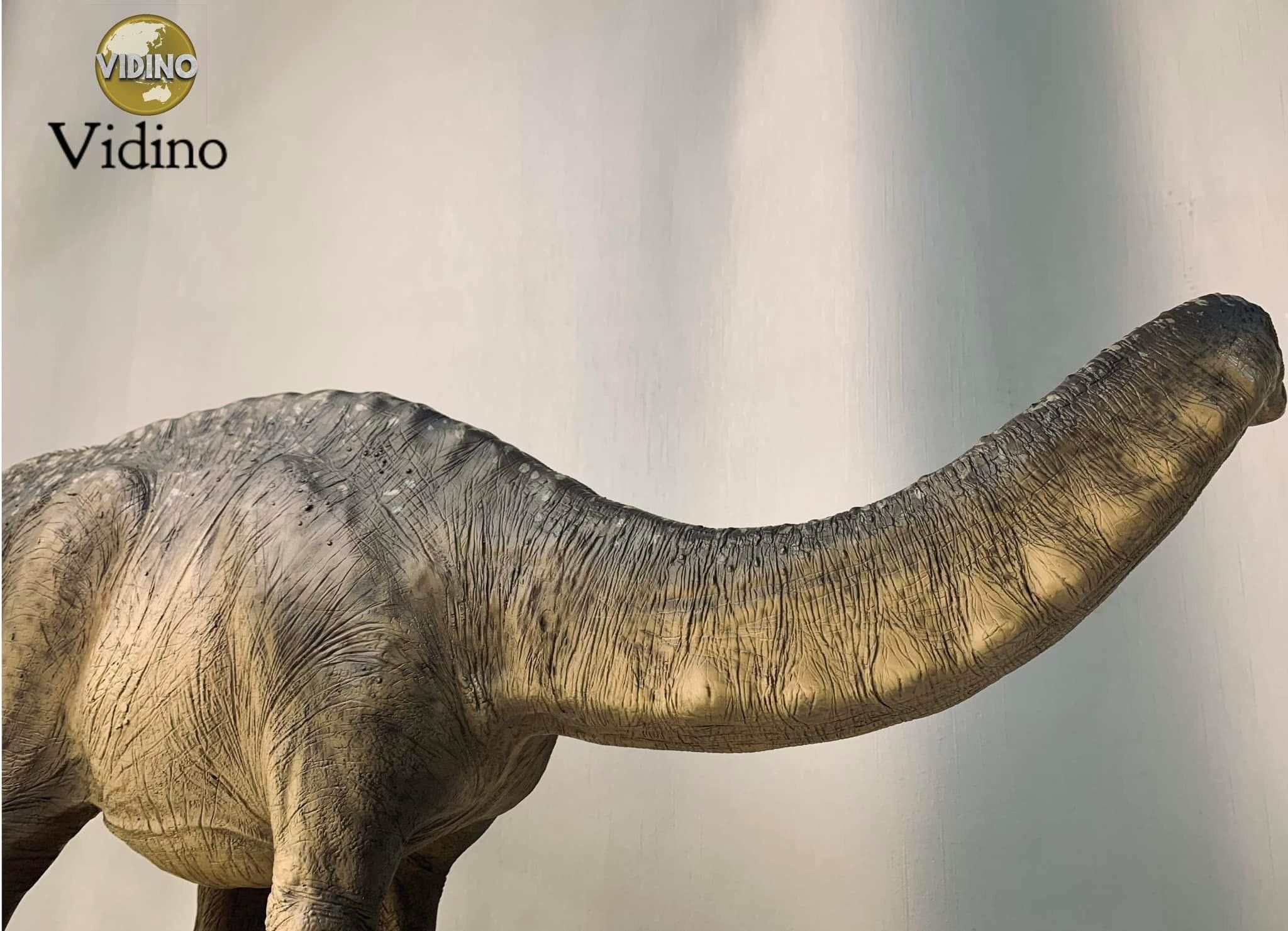  Mô hình khủng long Apatosaurus hãng SideShow tỷ lệ 1/15. 
