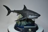  Mô hình cá mập tiền sử Megalodon hãng itoy tỷ lệ 1/35  | 𝐕𝐈𝐃𝐈𝐍𝐎.𝐕𝐍. 