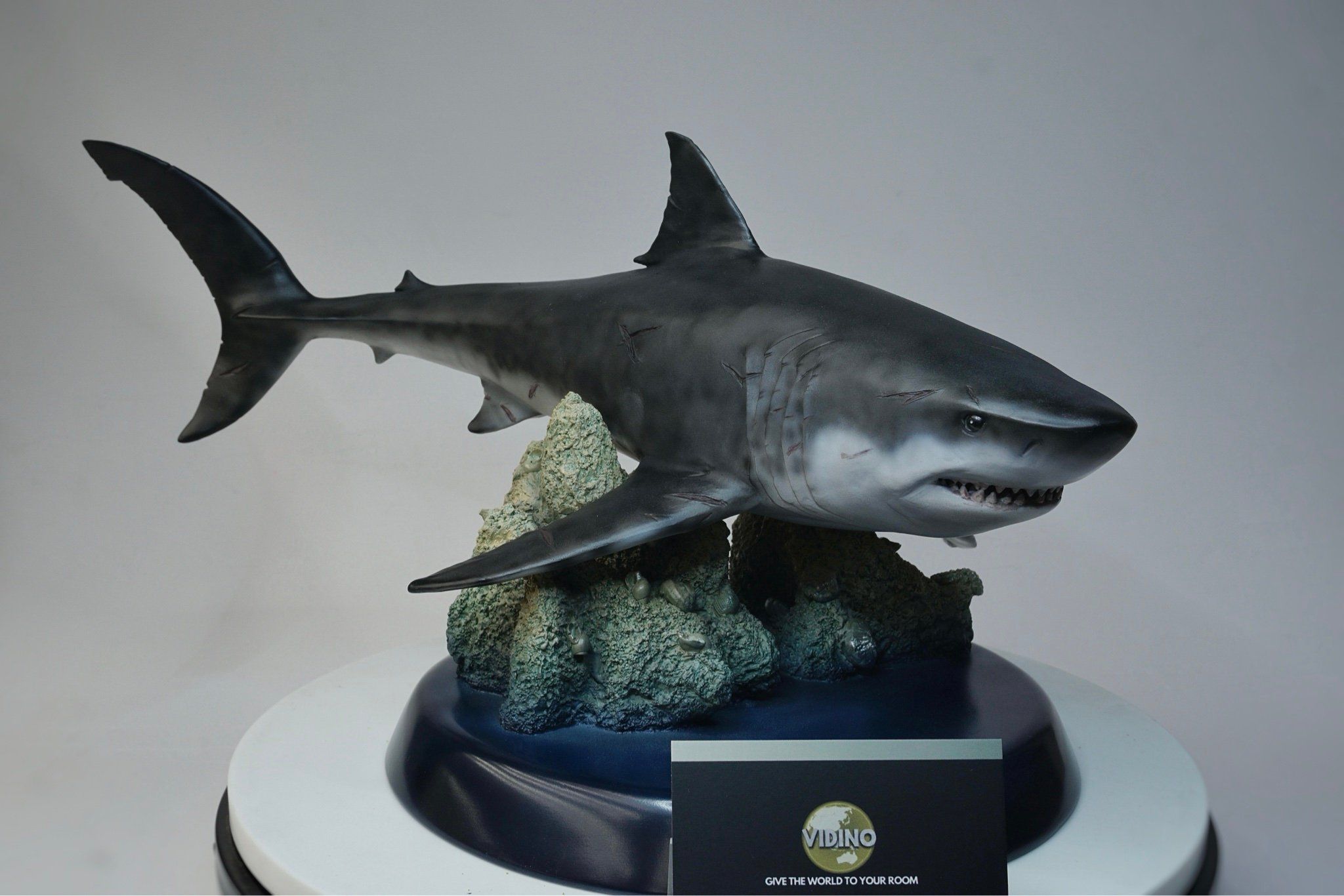  Mô hình cá mập tiền sử Megalodon hãng itoy tỷ lệ 1/35  | 𝐕𝐈𝐃𝐈𝐍𝐎.𝐕𝐍. 