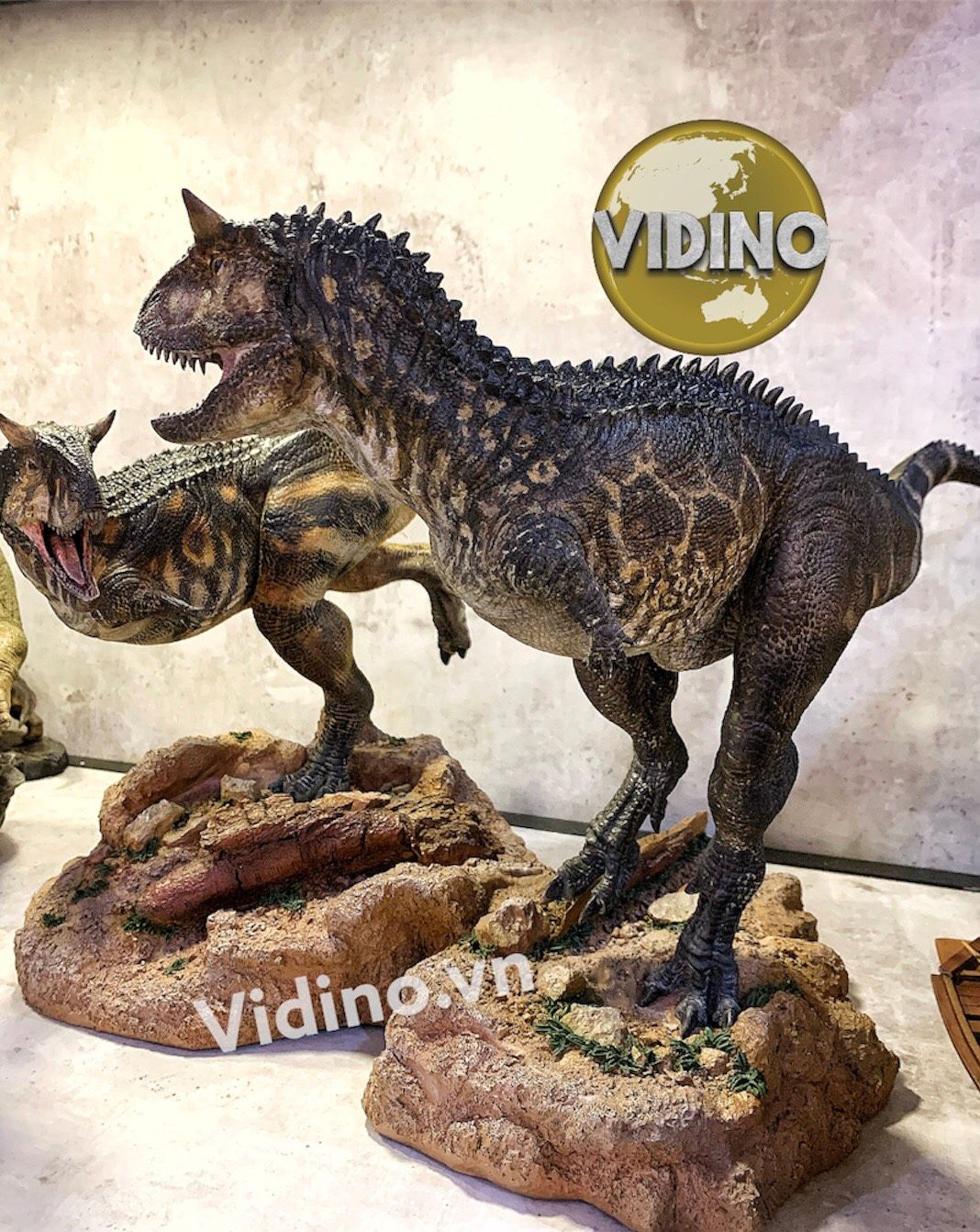  Mô hình Carnotaurus Itoys Studio tỷ lệ 1:10 