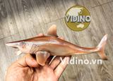  Mô hình Helicoprion pnso studio chính hãng tỷ lệ 1/35 
