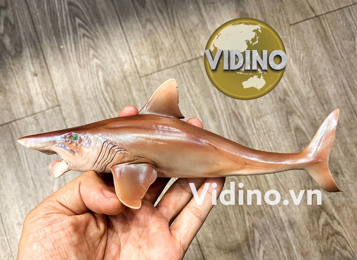  Mô hình Helicoprion pnso studio chính hãng tỷ lệ 1/35 
