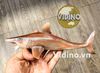 Mô hình Helicoprion pnso studio chính hãng tỷ lệ 1/35