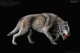  Mô hình động vật sói Dire wolf chính hãng Rebor 1/11. 
