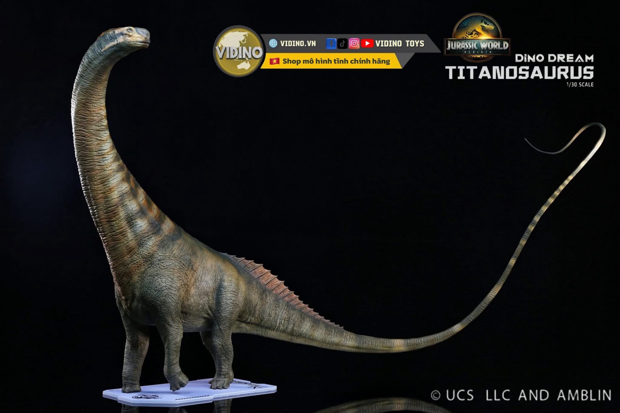  Mô hình Titanosaurus Dino Dream Studio. 