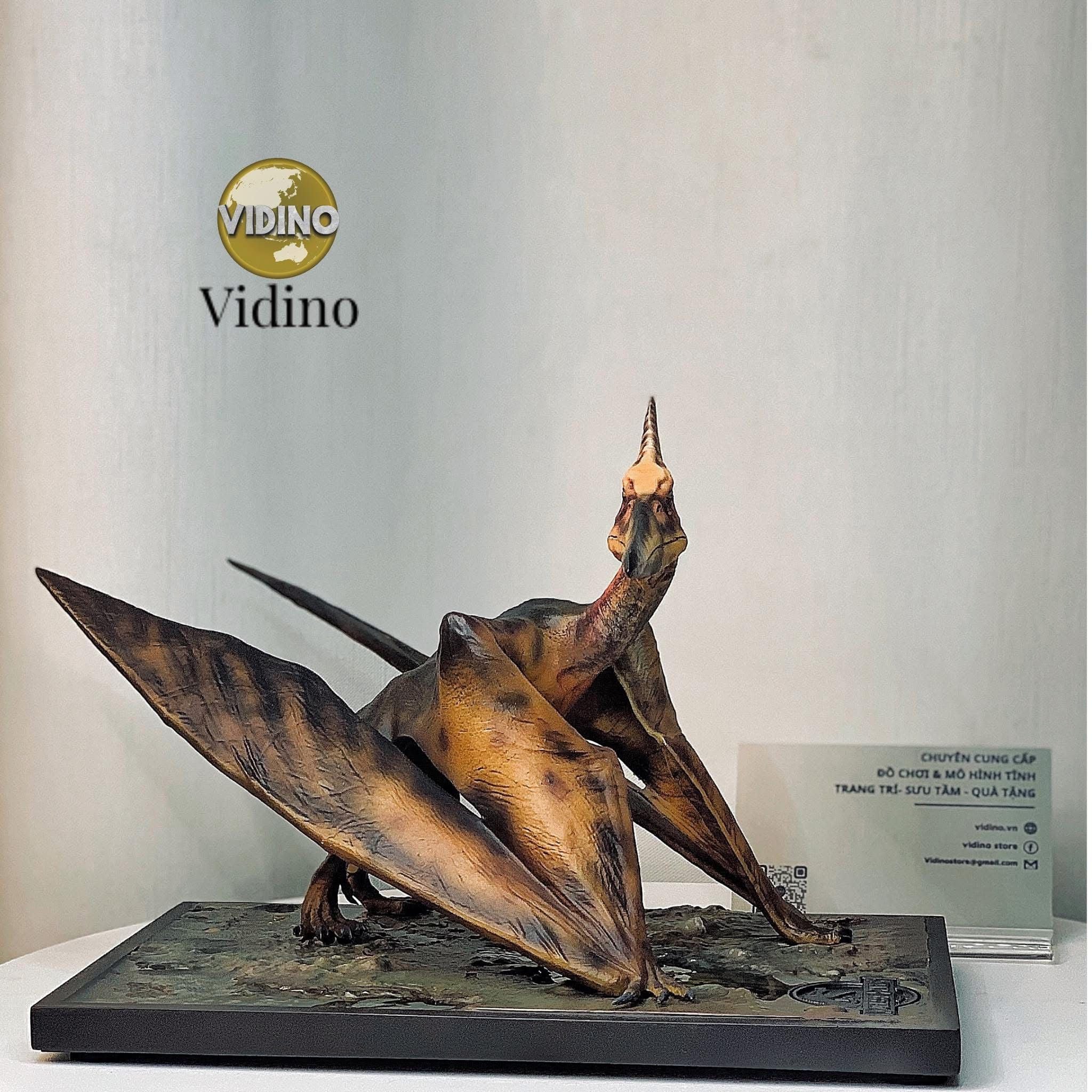  Mô hình loài khủng long pteranodon  Dino Dream studio tỷ lệ 1/15  | 𝐕𝐈𝐃𝐈𝐍𝐎.𝐕𝐍. 
