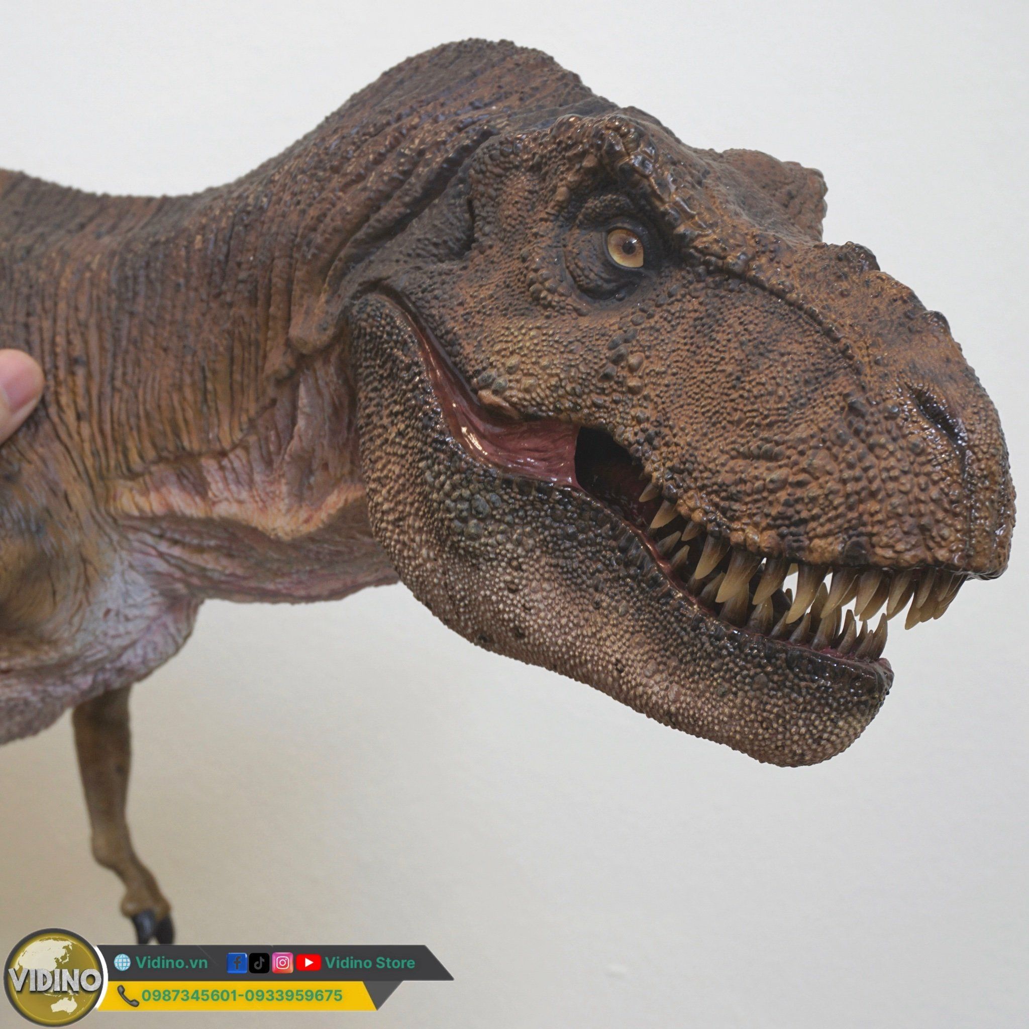  Mô hình Tyranosaurus rex ECC 1/12 studio Jurassic Park. 