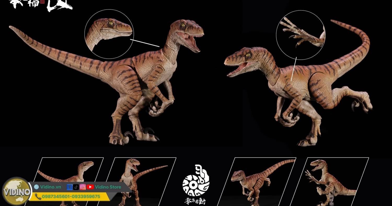  Mô hình khủng long Velociraptor có khớp jurassic park nanmu. 