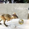  Mô hình Pachycephalosaurus PNSO studio chính hãng tỷ lệ 1:35 