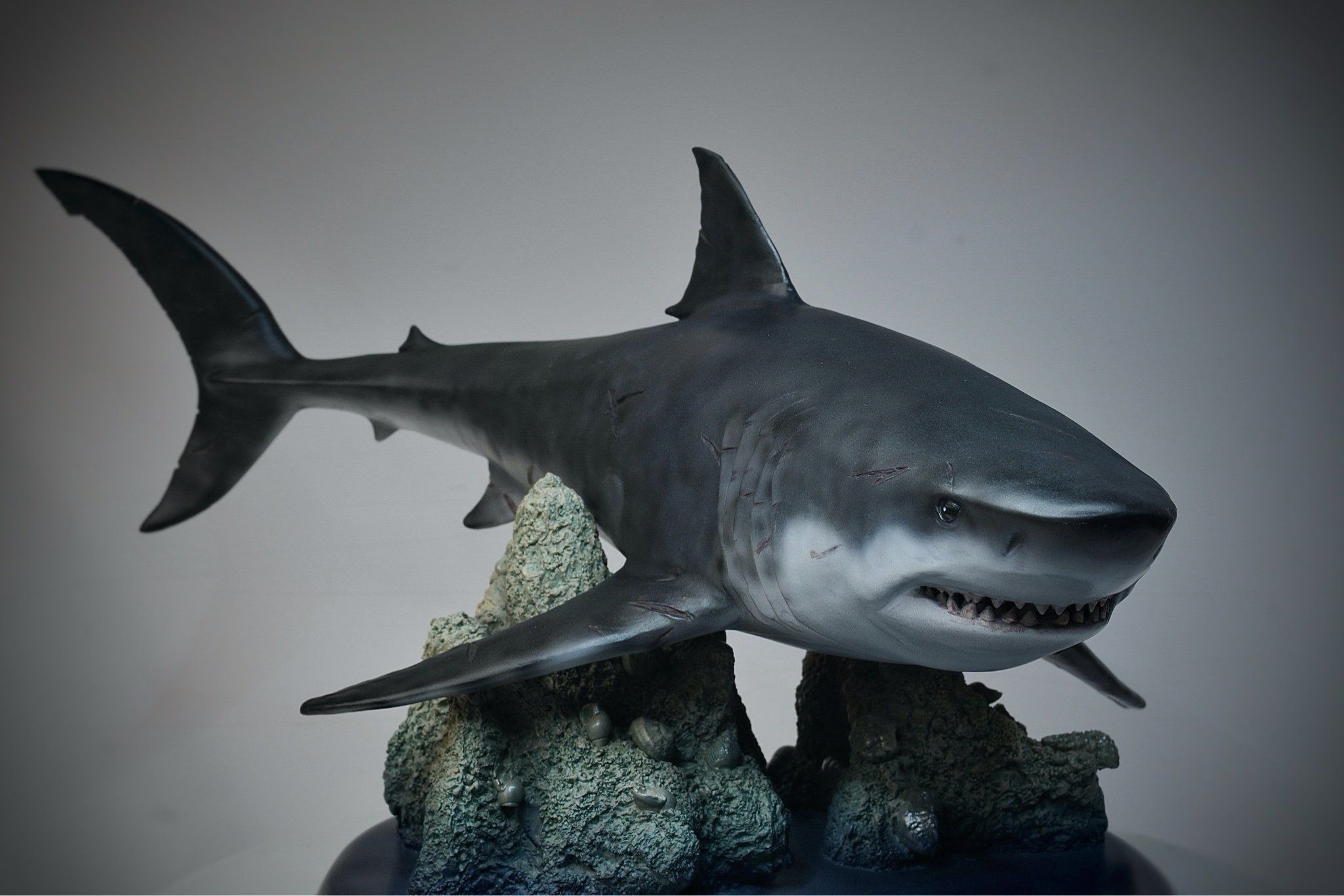  Mô hình cá mập tiền sử Megalodon hãng itoy tỷ lệ 1/35  | 𝐕𝐈𝐃𝐈𝐍𝐎.𝐕𝐍. 