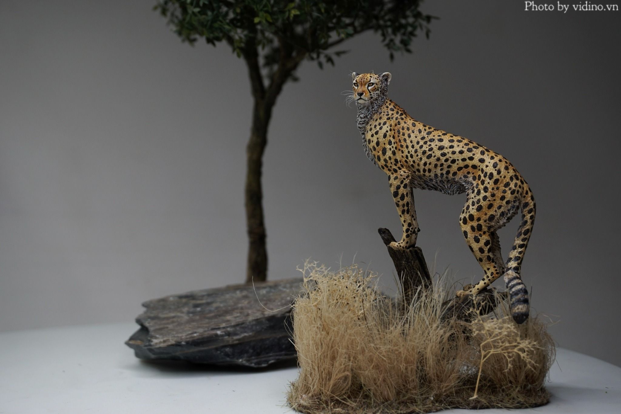  Mô hình động vật báo săn cheetah hãng wanshou 1/18. 