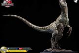  Mô hình Velociraptor bản quyền jurassic park 3 wdragon studio 