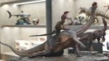  Mô hình sinosaurus vs luffengosaurus GK studio 1/20. 