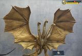  Mô hình 14inch King Ghidorah Gravity Beam Hiya toys 
