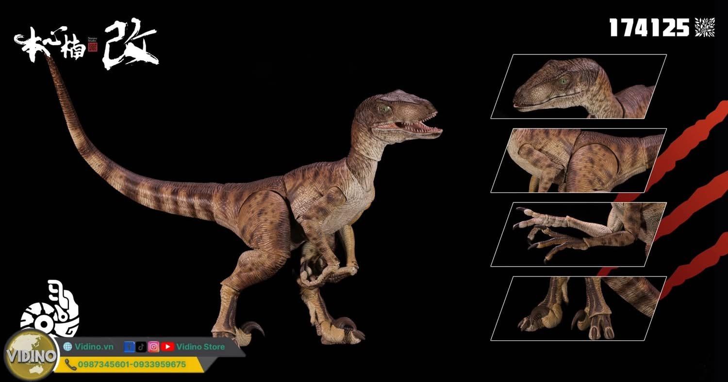  Mô hình khủng long Velociraptor có khớp jurassic park nanmu. 