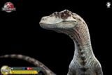  Mô hình Velociraptor bản quyền jurassic park 3 wdragon studio 