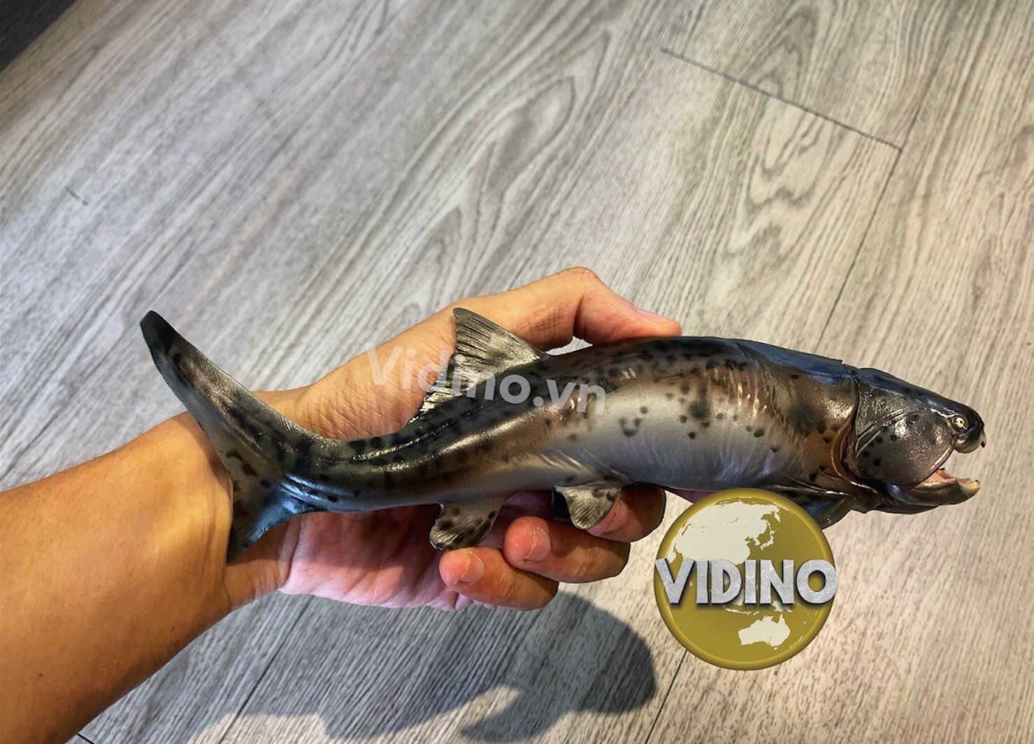  Mô hình Dunkleosteus pnso studio chính hãng tỷ lệ 1:35 