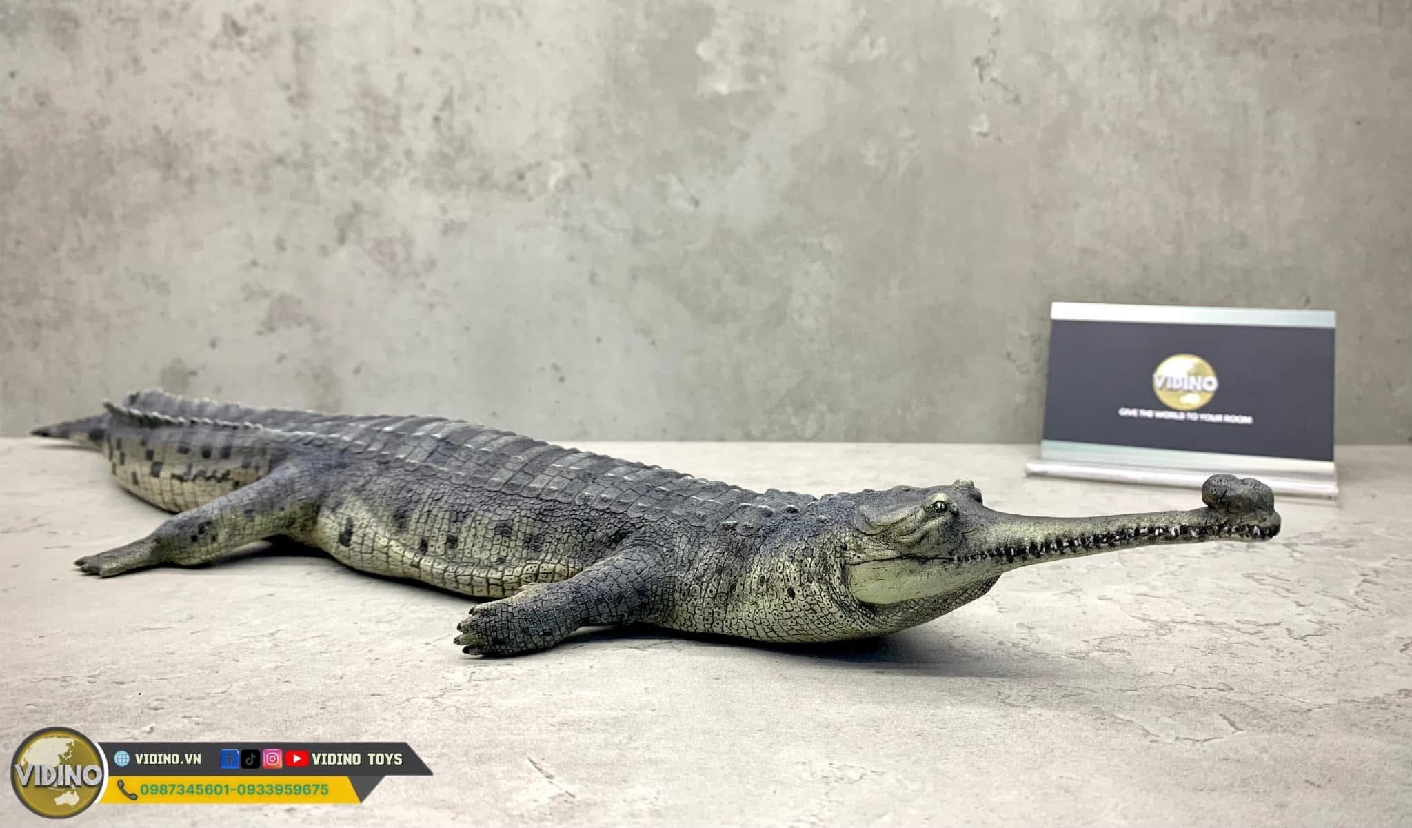  Mô hình động vật cá sấu ấn độ Gharial india hãng Crocs Man Studio tỷ lệ 1/12. 