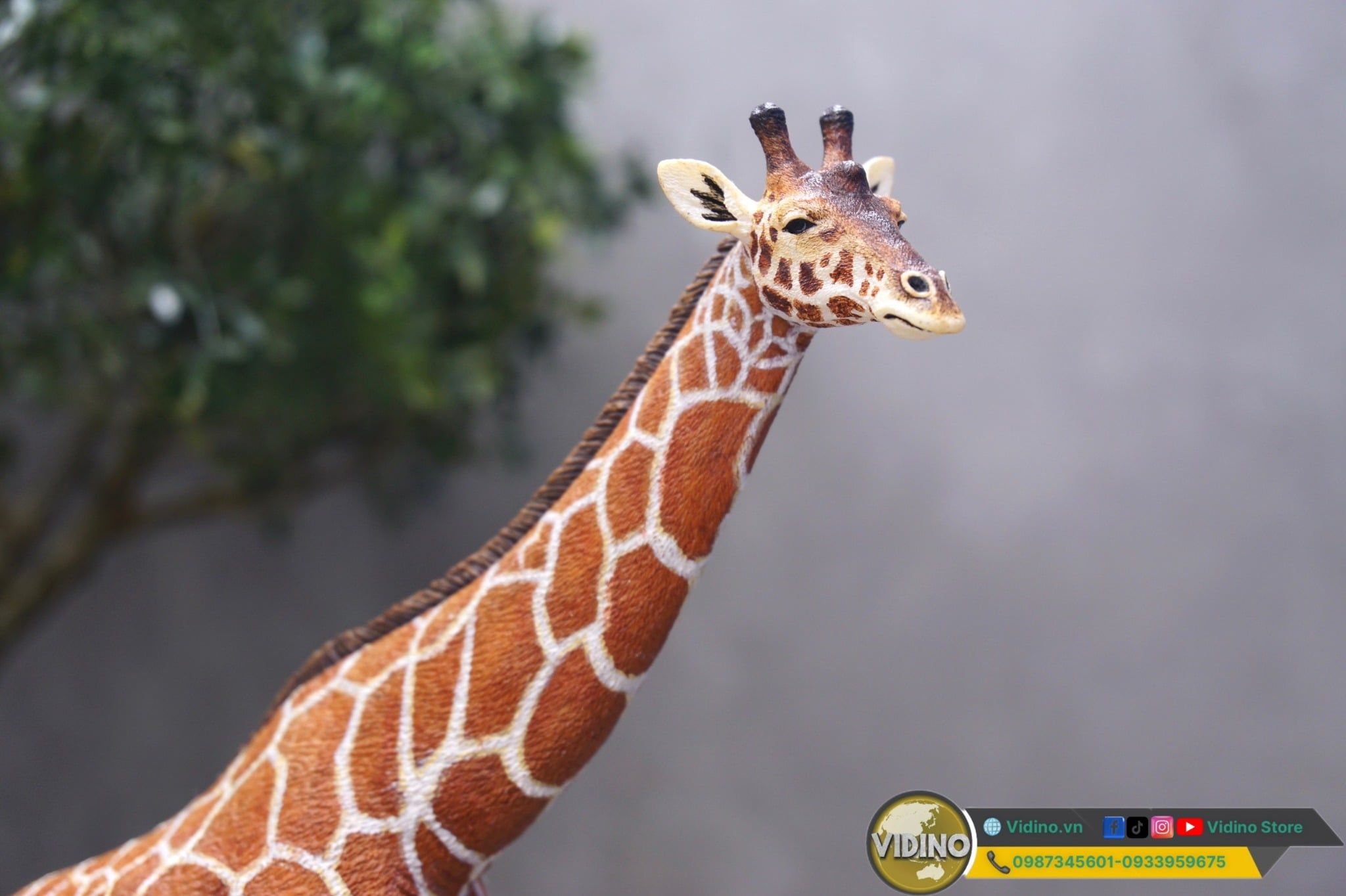  Mô hình động vật hưu cao cổ châu phi Wanshou studio tỷ lệ 1/35 | 𝐕𝐈𝐃𝐈𝐍𝐎.𝐕𝐍 