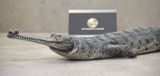  Mô hình động vật cá sấu ấn độ Gharial india hãng Crocs Man Studio tỷ lệ 1/12. 