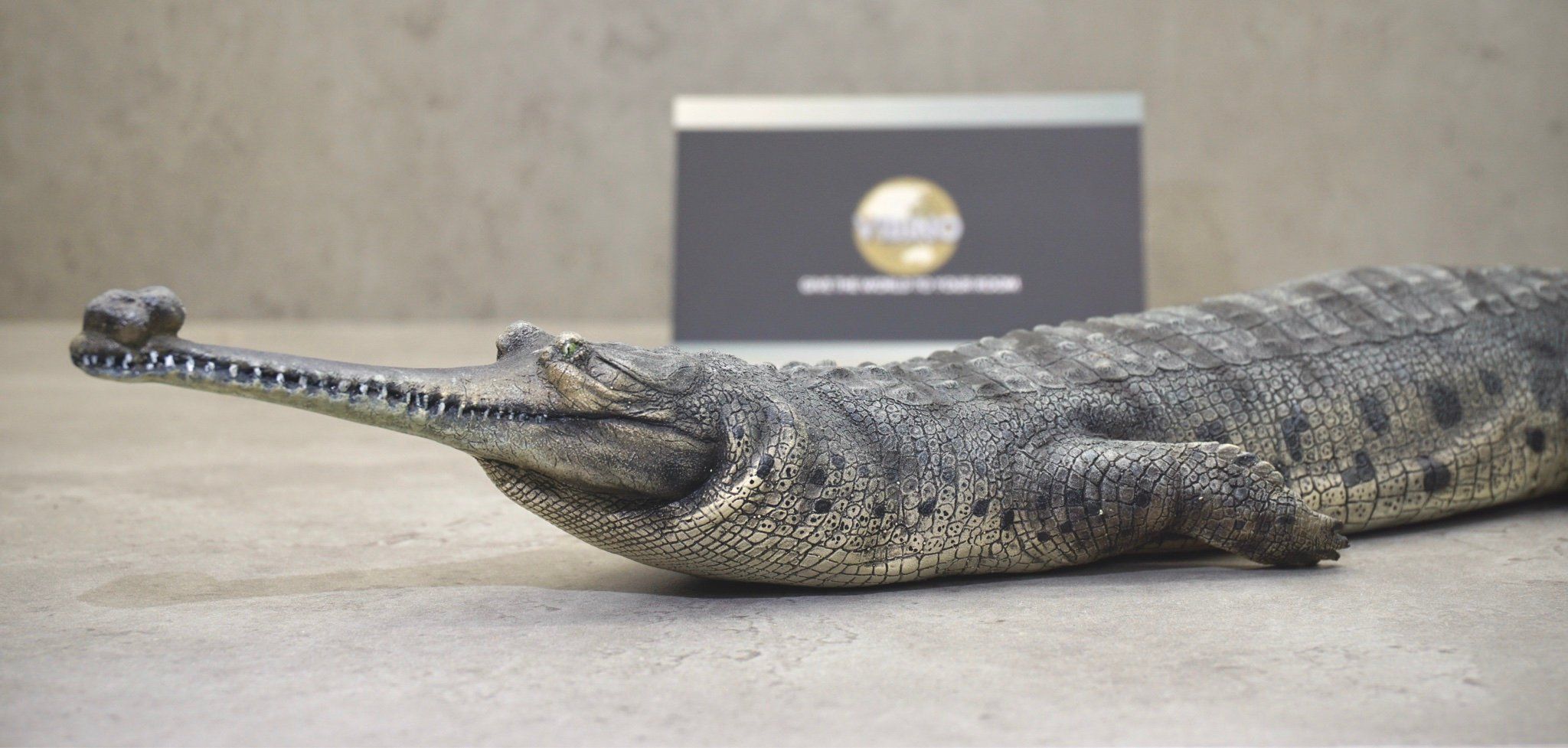  Mô hình động vật cá sấu ấn độ Gharial india hãng Crocs Man Studio tỷ lệ 1/12. 
