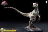  Mô hình Velociraptor bản quyền jurassic park 3 wdragon studio 