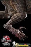  Mô hình Velociraptor bản quyền jurassic park 3 wdragon studio 