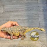  Mô hình Ankylosaurus pnso studio chính hãng tỷ lệ 1:35 