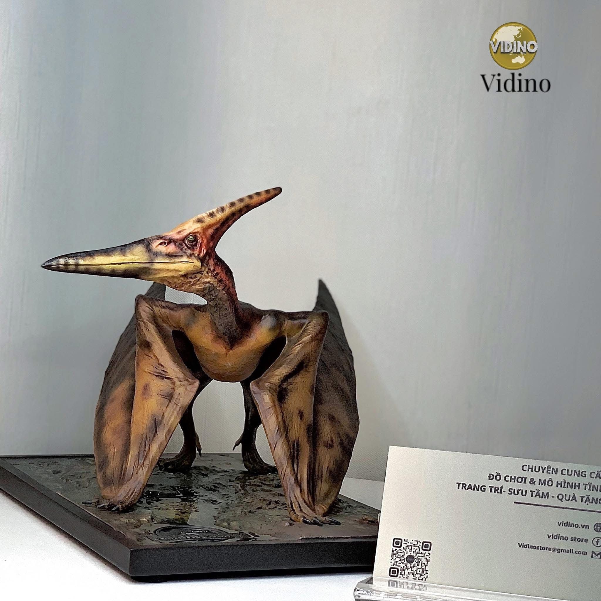  Mô hình loài khủng long pteranodon  Dino Dream studio tỷ lệ 1/15  | 𝐕𝐈𝐃𝐈𝐍𝐎.𝐕𝐍. 