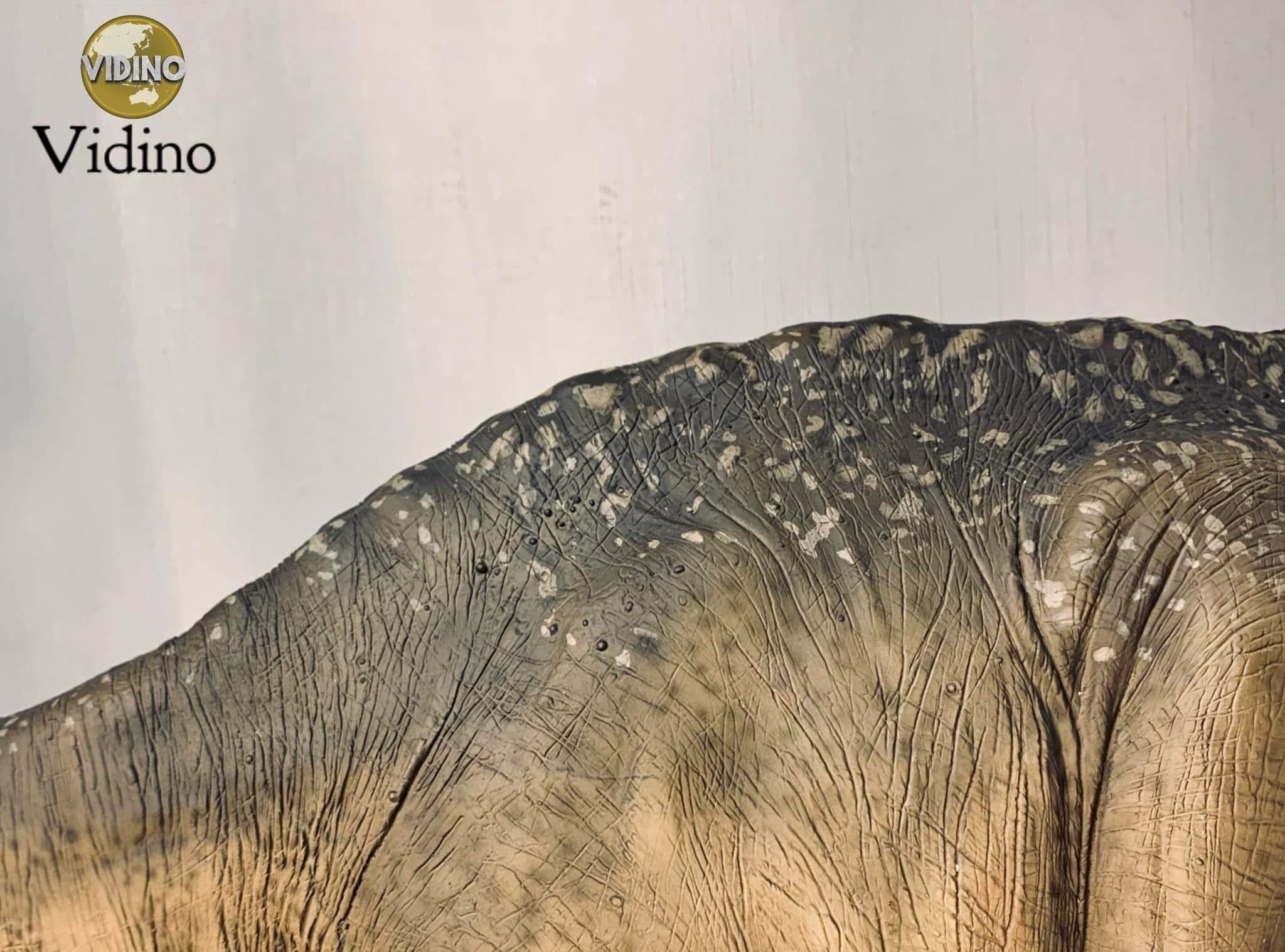  Mô hình khủng long Apatosaurus hãng SideShow tỷ lệ 1/15. 