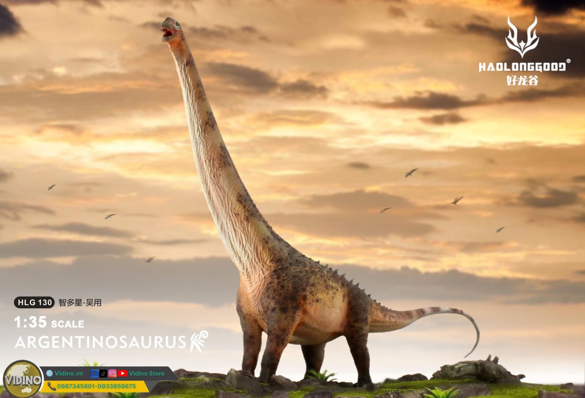  Mô hình khủng long to lớn nhất Argentinosaurus haolonggood tỷ lệ 1/35 