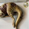  Mô hình Parasaurolophus Nanmu Benxin Stuido chính hãng tỷ lệ 1:35 (limited) 