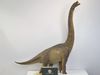  Mô hình brachiosaurus hãng nanmu benxin tỷ lệ 1/35 