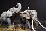  Mô hình Voi châu phi đồng cỏ  wanshou studio tỷ lệ 1/35. 