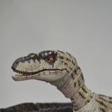  Mô hình khủng long Velociraptor có khớp jurassic park nanmu. 