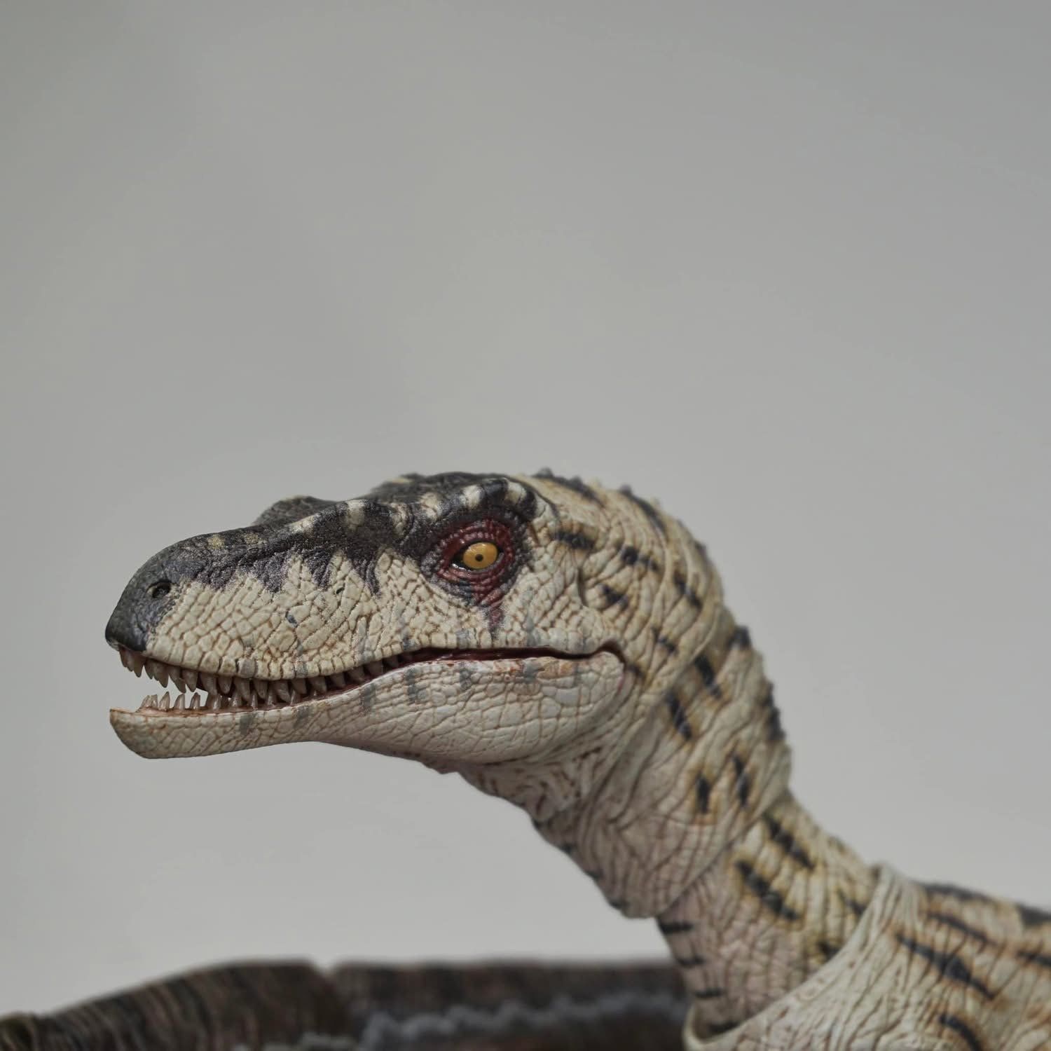  Mô hình khủng long Velociraptor có khớp jurassic park nanmu. 