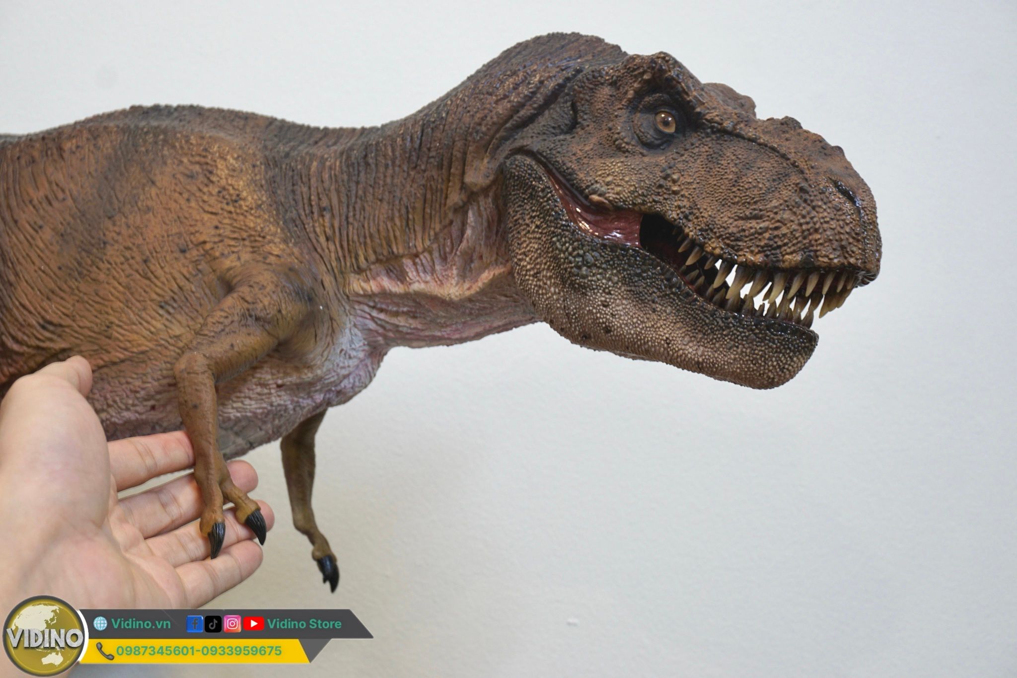  Mô hình Tyranosaurus rex ECC 1/12 studio Jurassic Park. 
