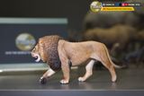  Mô hình động vật sư tử đực châu phi hunting studio tỷ lệ 1/35. 