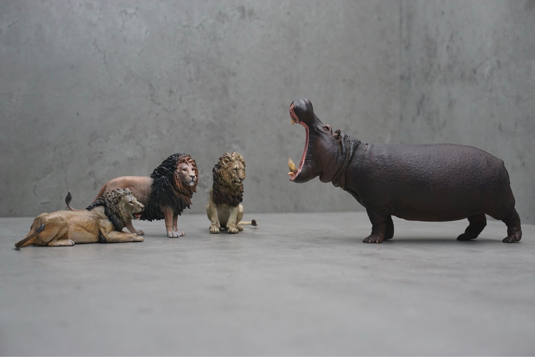  Mô hình động vật sư tử đực GK tỷ lệ 1/35 . 