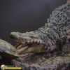 Mô hình cá sấu tiền sử purussaurus musee tỷ lệ 1/18