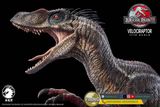  Mô hình Velociraptor bản quyền jurassic park 3 wdragon studio 